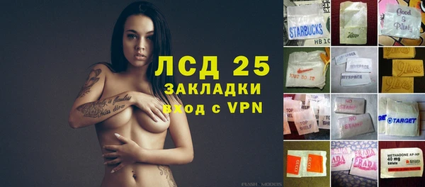 ПСИЛОЦИБИНОВЫЕ ГРИБЫ Баксан