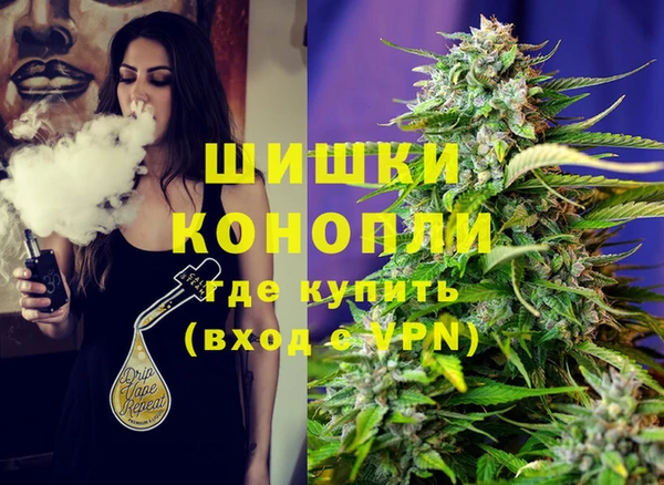 трава Аркадак