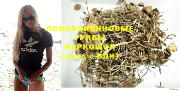трава Аркадак