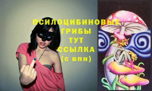 трава Аркадак
